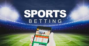 Casino Software Providers Ranked 16 Casino Software Providers Ranked 16
